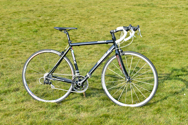 ribble campagnolo